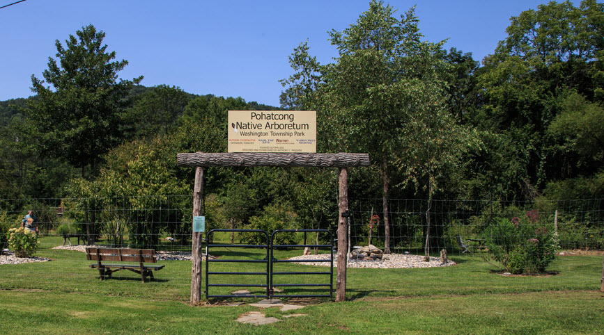 Pohatcong Native Arboretum, United States